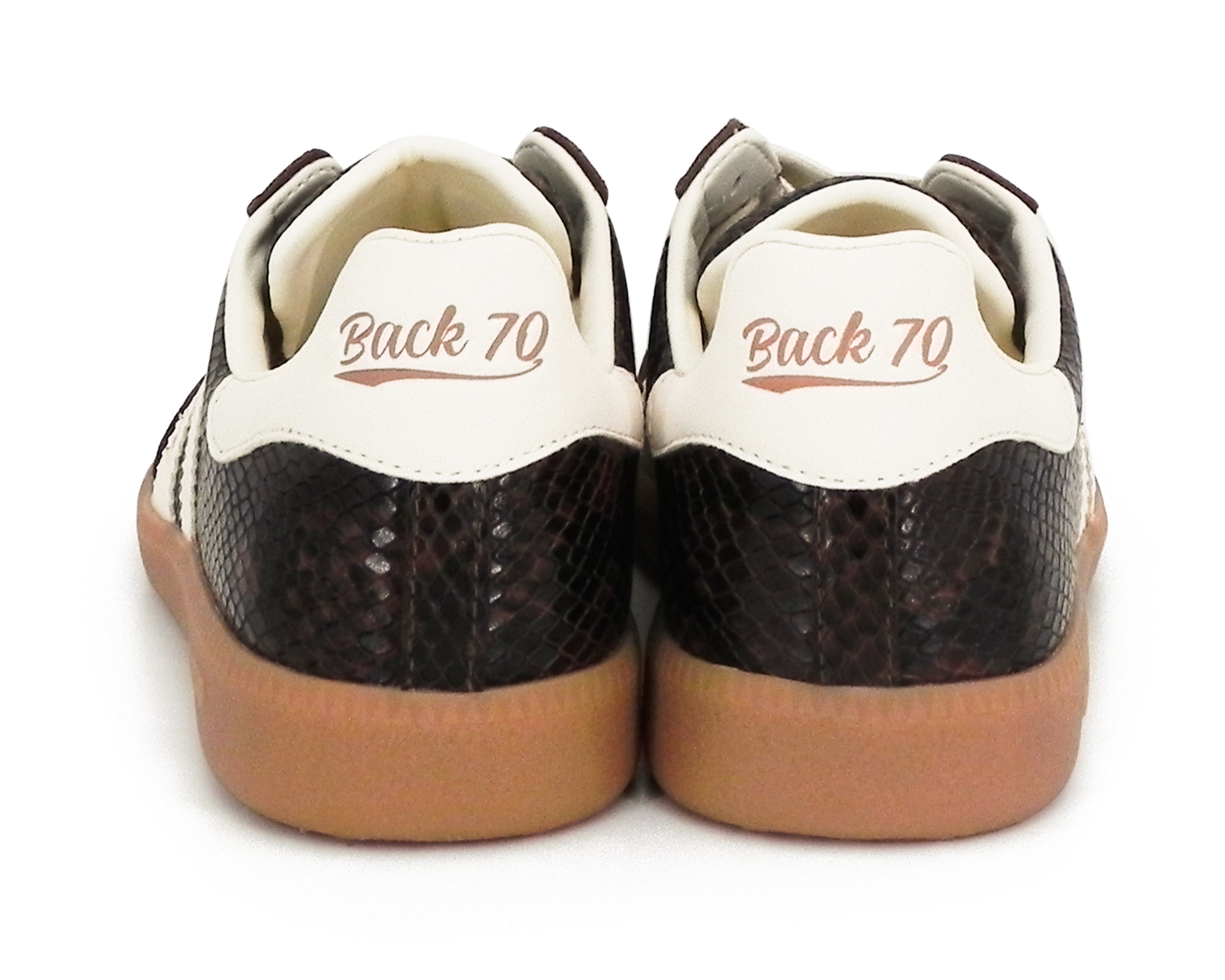 Back70 108005-Cloud