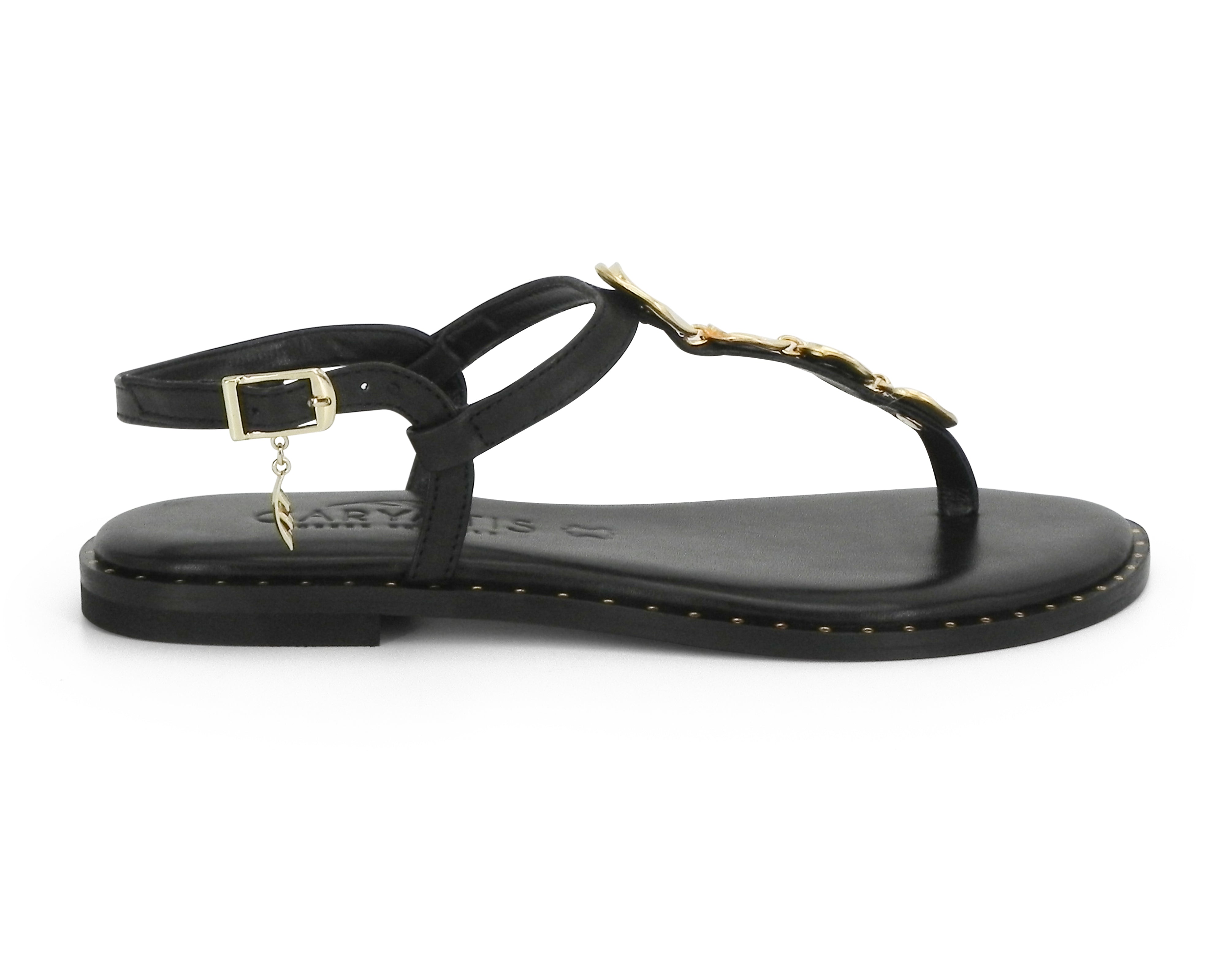 Caryatis 621507