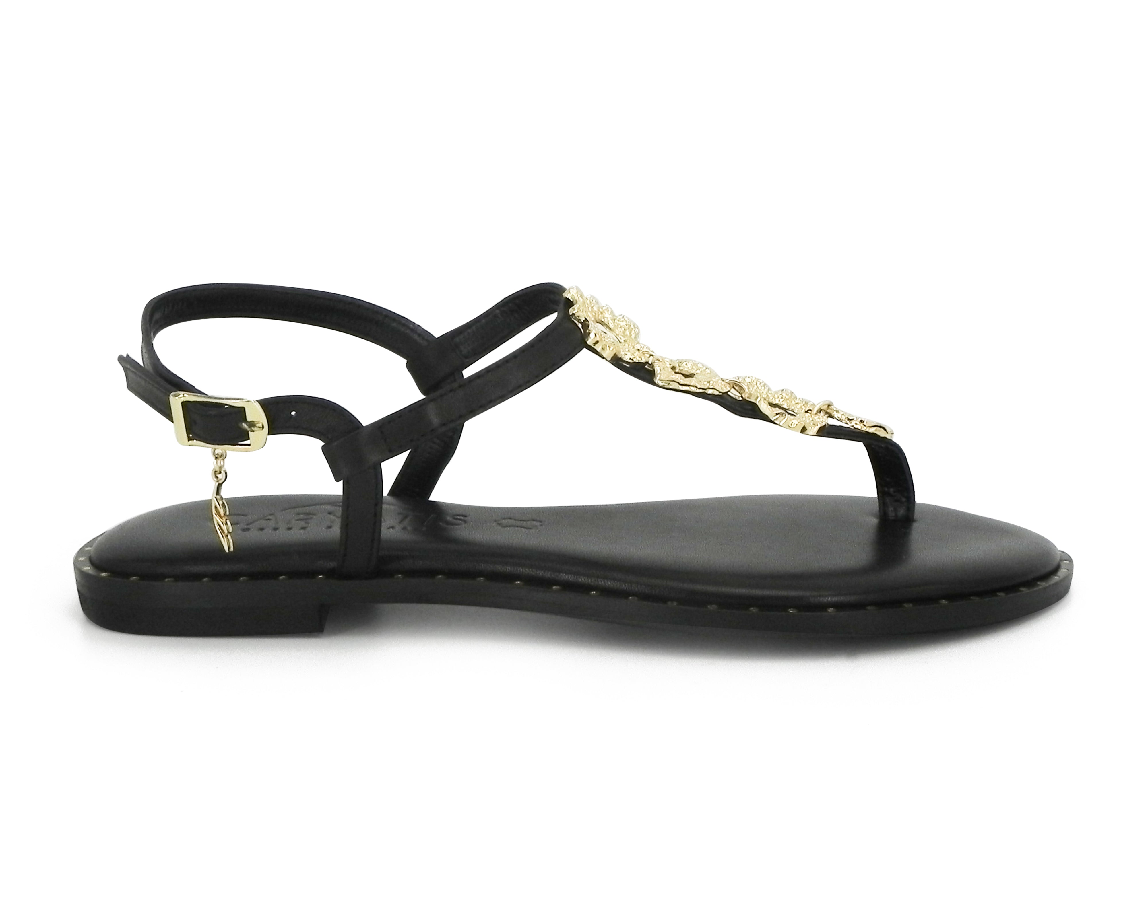Caryatis 621508