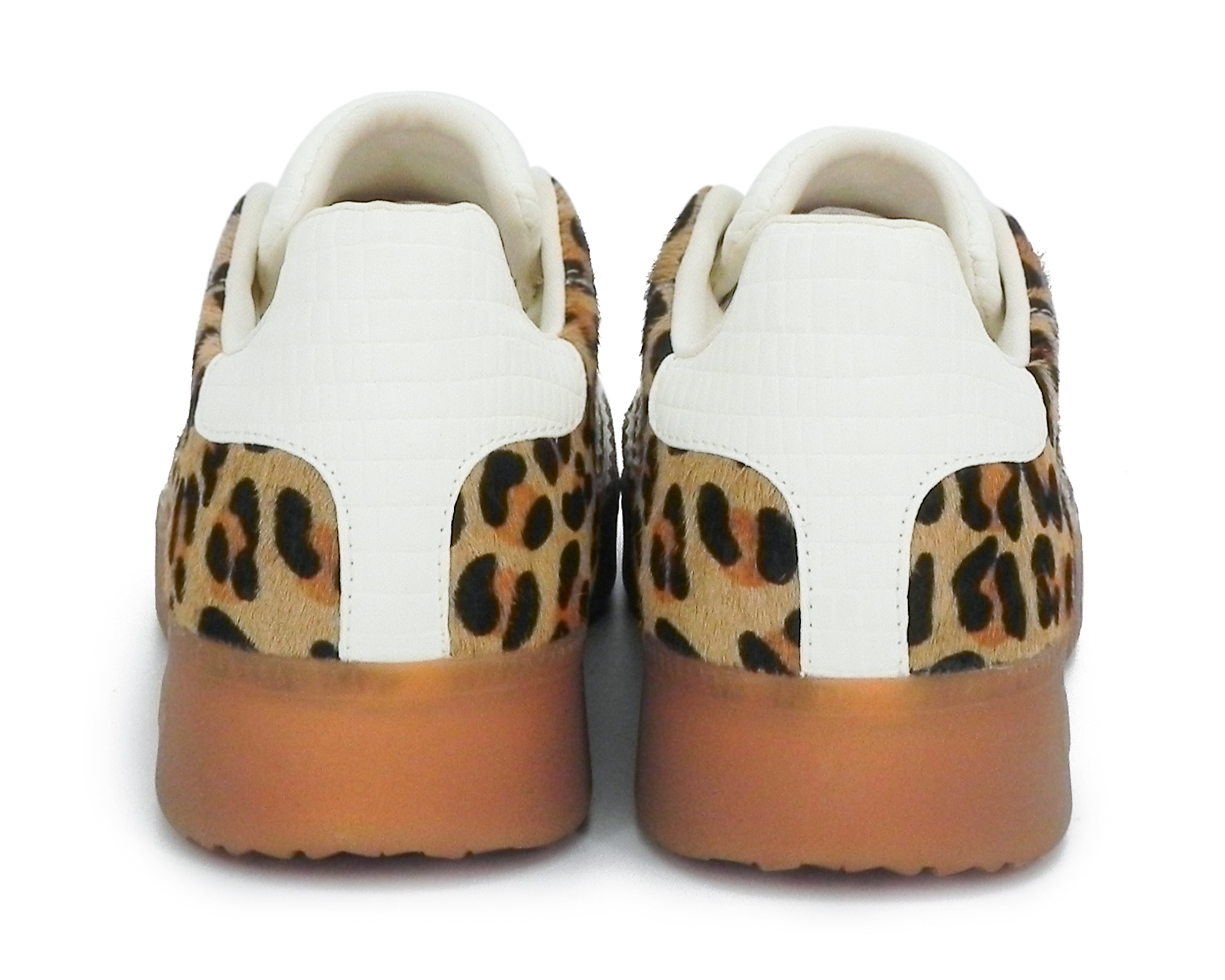 Back70 108003 Boston