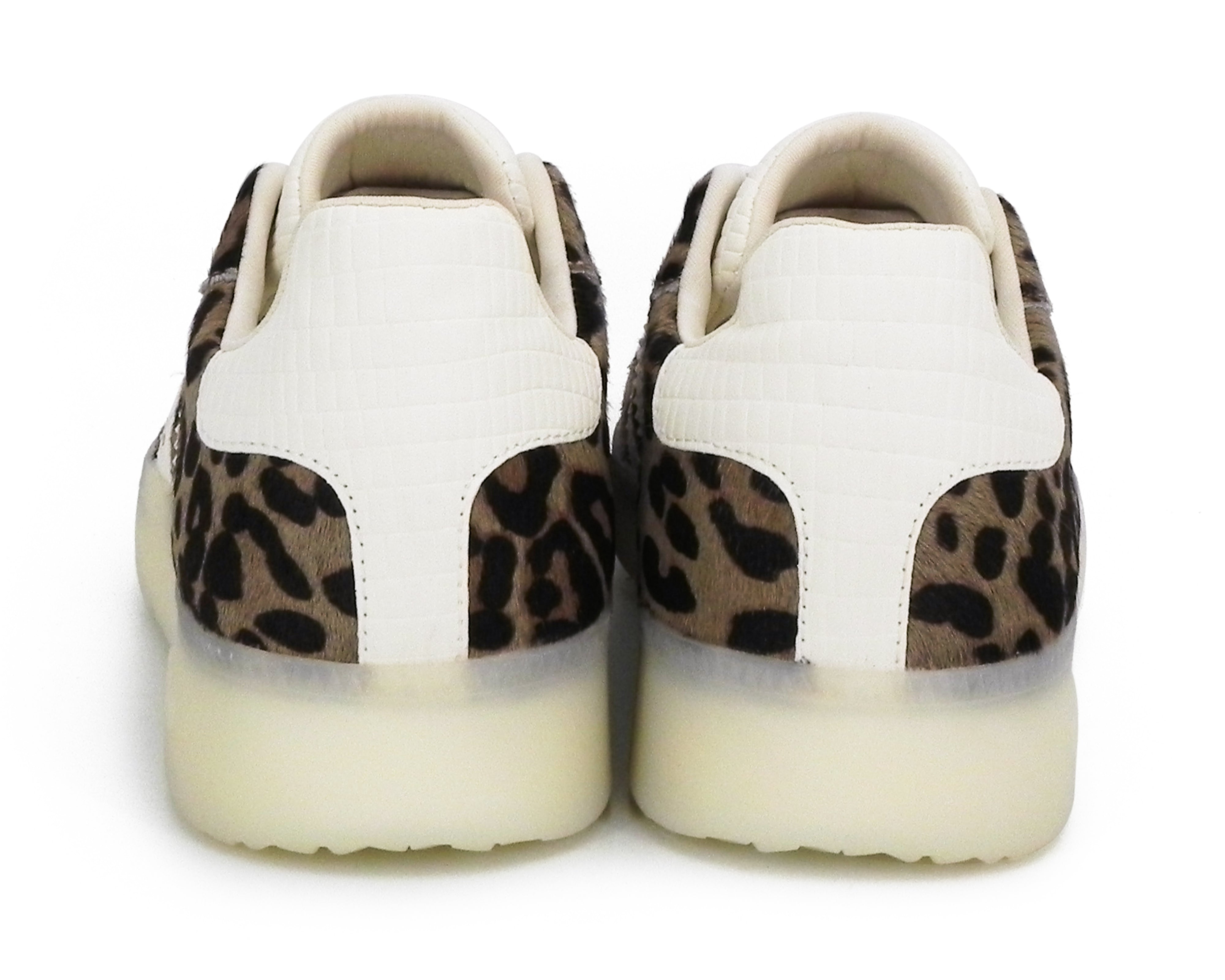 Back70 108003 Boston