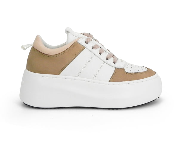 VicMatie 1B4754-66