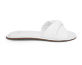Carrano 554006